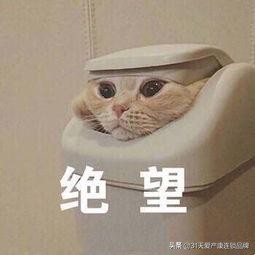 新生日记李艾及好友,新生日记李艾逛超市