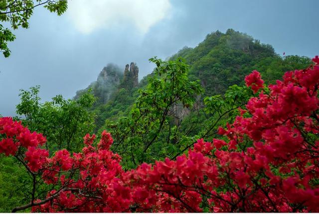 西泰山是什么样的,西泰山为啥叫西泰山