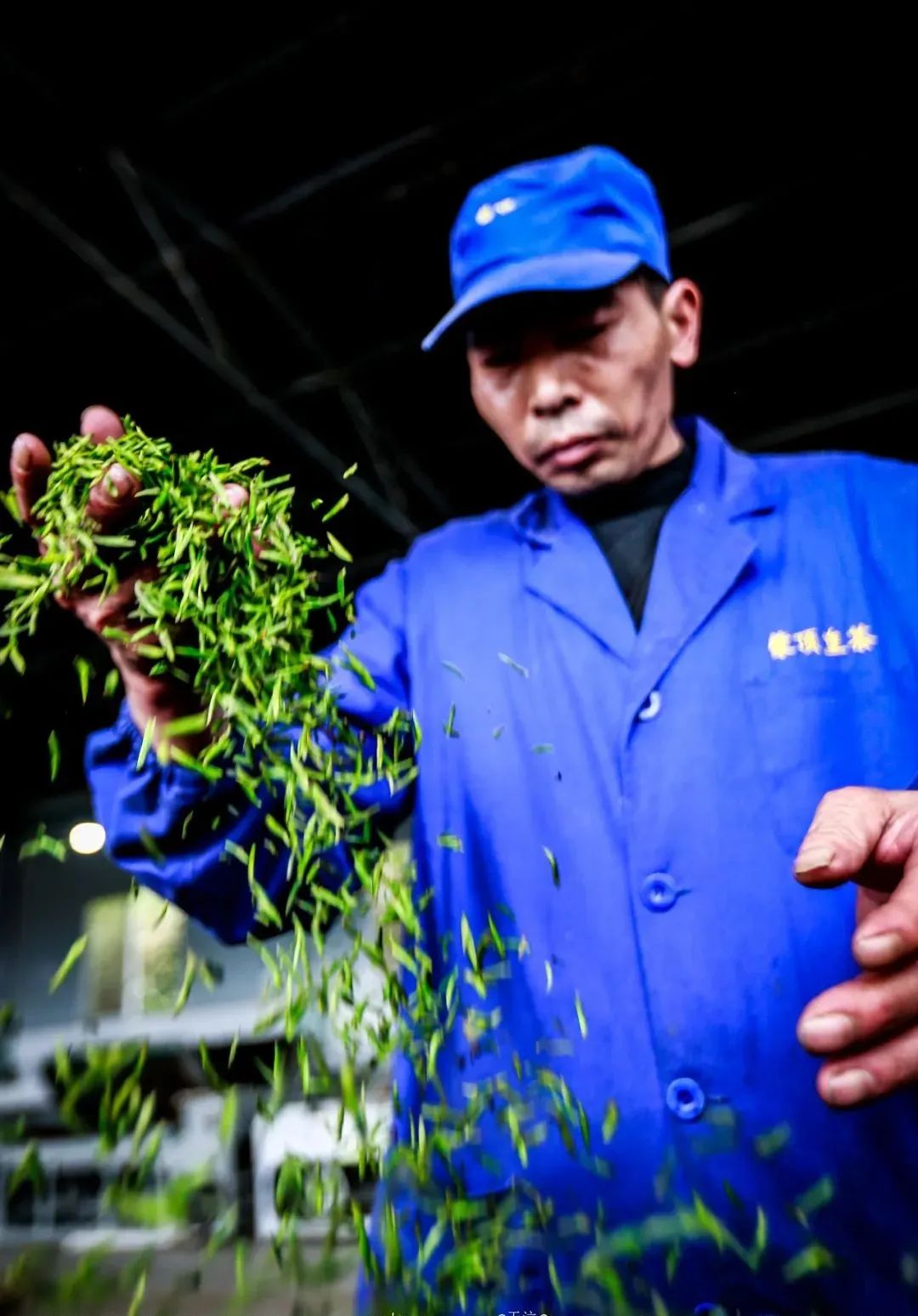 我们争分夺秒加班加点,就是为了奉上今春这第一波蒙顶皇茶!