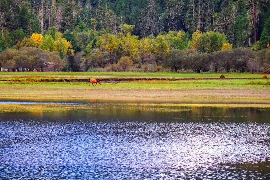 藏在日常生活中的幸福,生活在西藏是不是很幸福