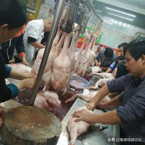 烧鹅技术配方教学广东,港式烧鹅制作全过程