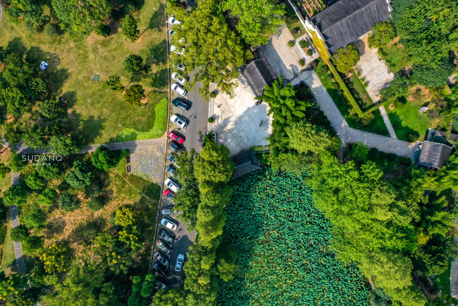 武汉东湖ufo事件,武汉东湖神秘事件