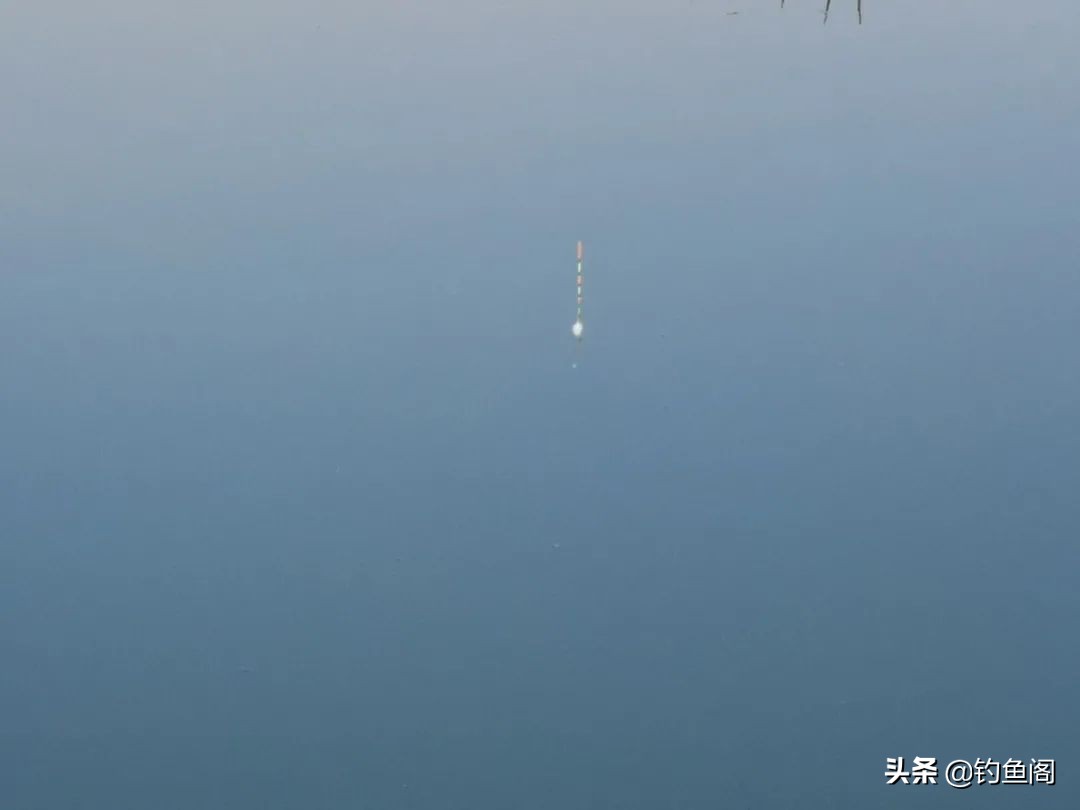 冲钓如何选择浮漂,如何选择浮钓漂