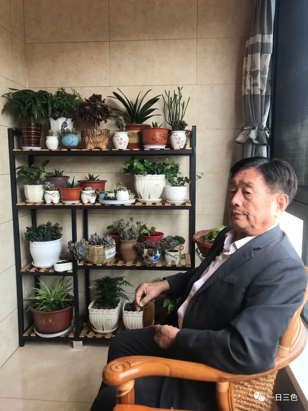 沈庆云,沈庆云简介