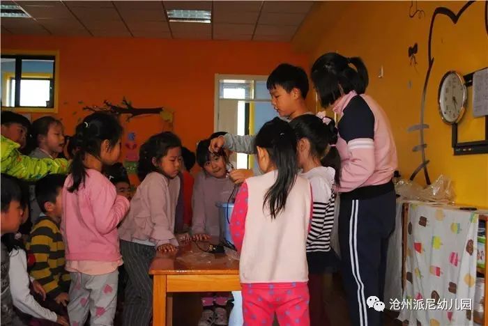 生命教育孵蛋,生命教育课程孵小鸡