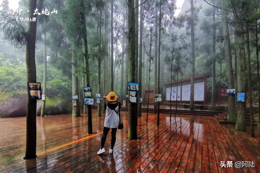 雨中爬太姥山,雨中登太姥山