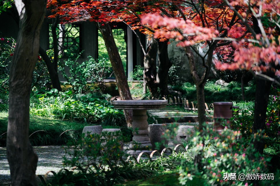 拙政园最让人欣赏的地方,拙政园十大特色