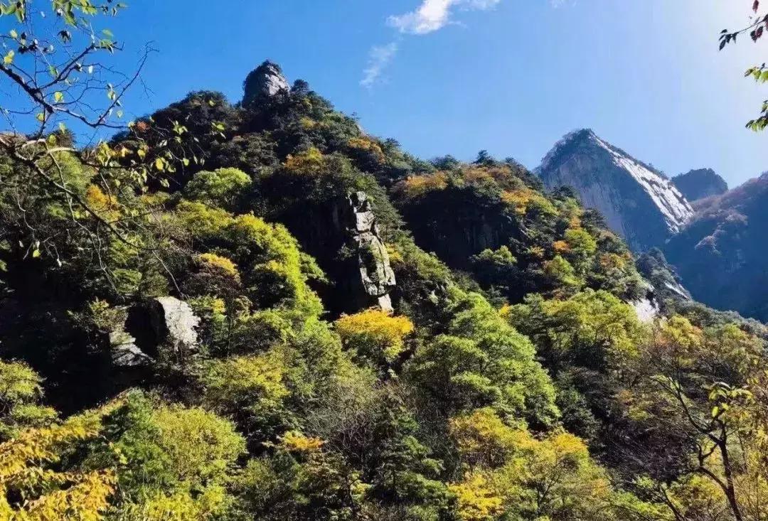 女神节陕西免门票的景点,陕西女神节免票景区