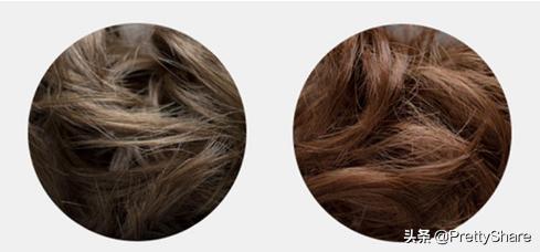 哪款洗发香波比较好,怎样挑选洗发香波