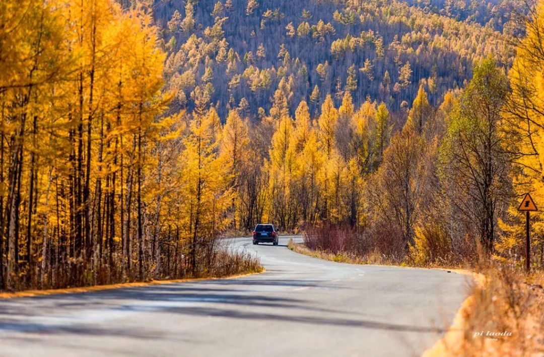 秋天最值得去的四个地方,秋天全部的风景