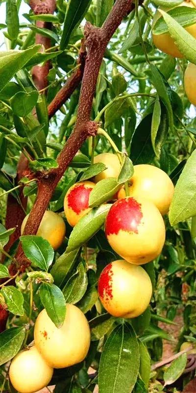 前方高能预警会怎样,前方高能预警提示