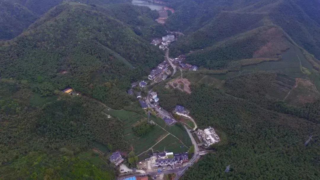 中国五大茶旅胜地,中国十大茶旅城市有哪些