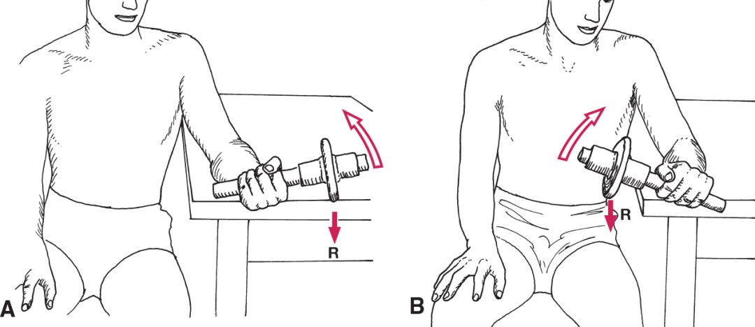 新手如何练臂力最快最有效,初学者练臂力的最佳方法
