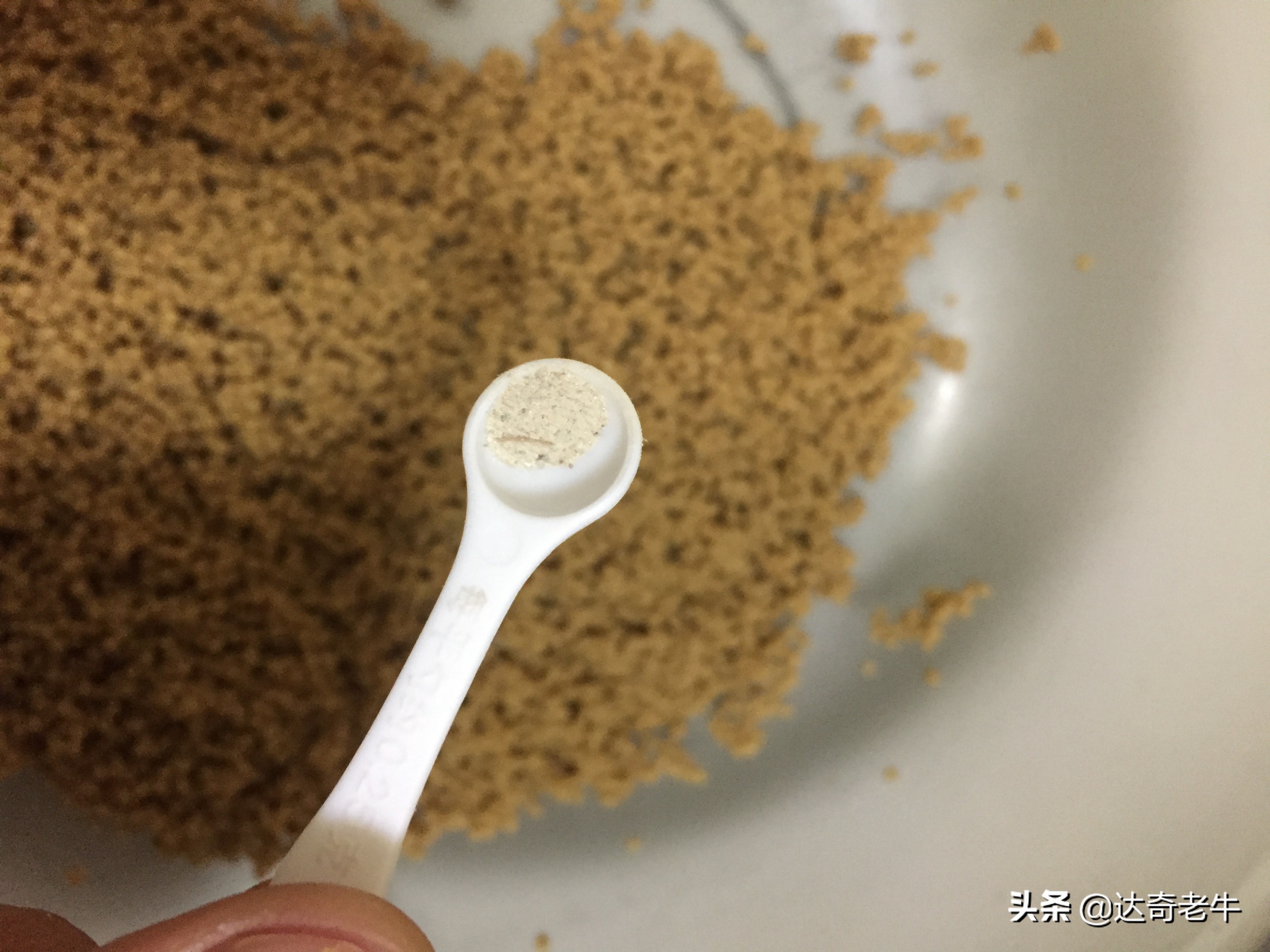 浮水颗粒怎么开成浮钓饵,浮水颗粒钓鱼选多大直径好用