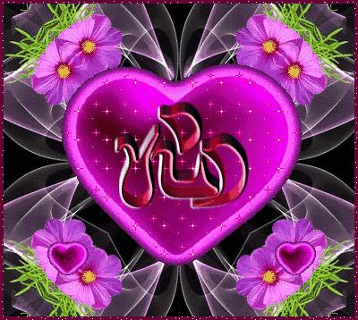 寂寞空庭春欲晚电视剧,寂寞空庭春欲晚皇上