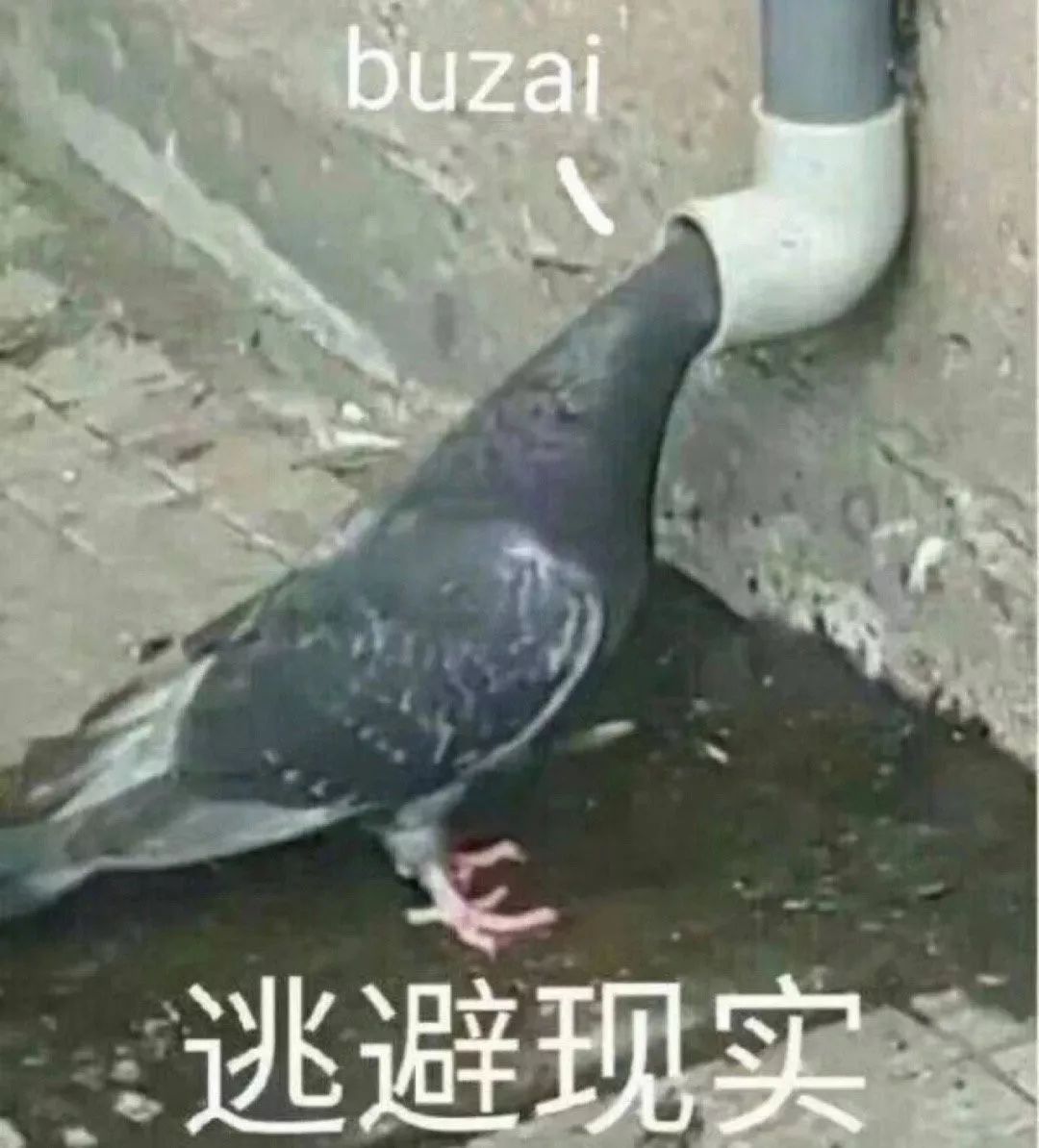 韩国服兵役过程逃兵役后果,韩国逃兵役增肥