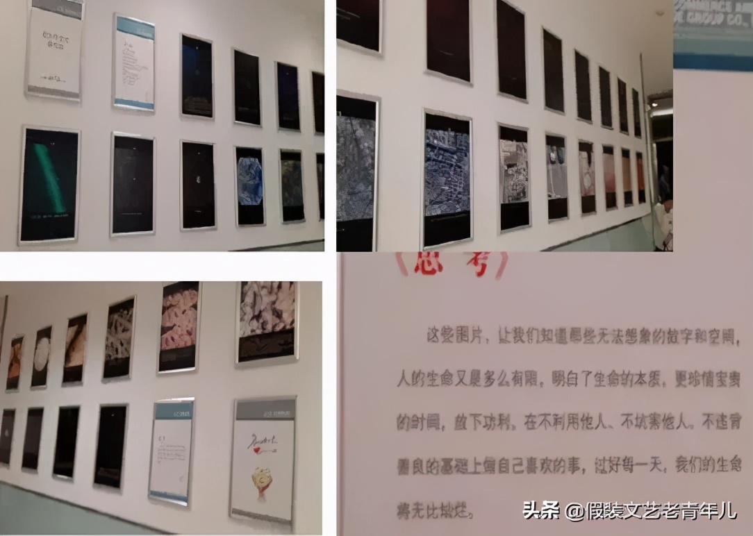 胖东来:我们该怎么学?看完本文或许您能得到答案