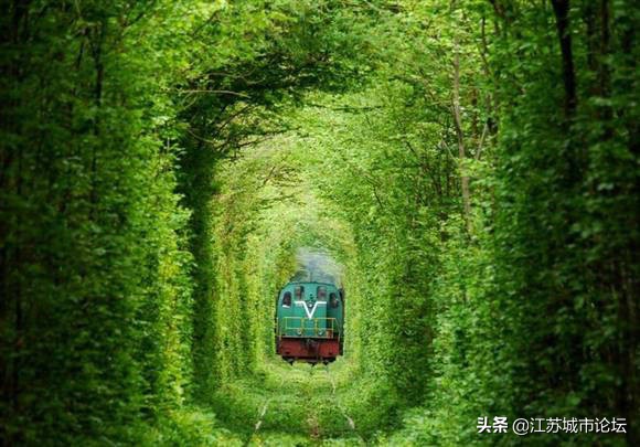 台湾学生拍电影,台湾学生南京