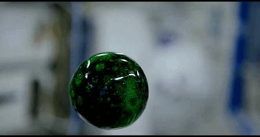 宇航员在太空中打嗝竟会酿成大祸？！放屁、吃面包都可能致命