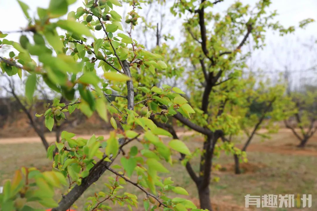 郑州周边人少清静有山有水的地方,郑州人少的公园适合野营