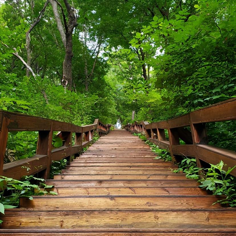 辽宁省14个市抚顺排第几,辽宁抚顺都有哪些区