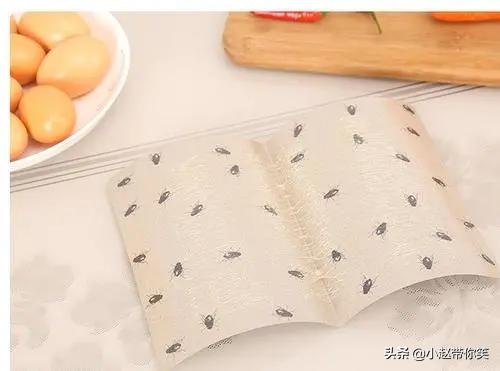 家里有苍蝇但是没有苍蝇药怎么办,家里有苍蝇逮不到咋办