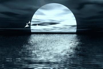 中秋节手抄报的内容怎么写300个字,中秋节的习俗来历手抄报内容