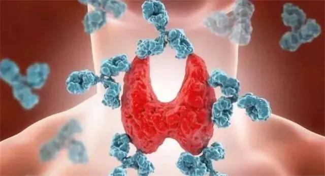 怕风怕冷的真正原因,身体怕冷又怕风怎么回事