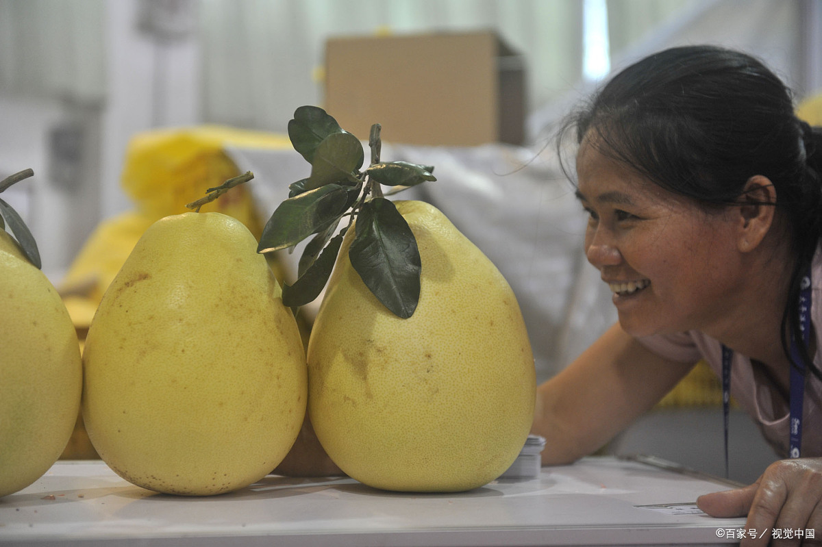 蜂蜜柚子茶总有一款适合你,蜂蜜柚子茶推荐款