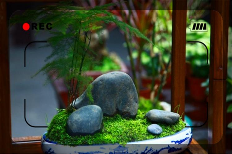 适合50岁男人创业的项目,农村创业50个项目有哪些