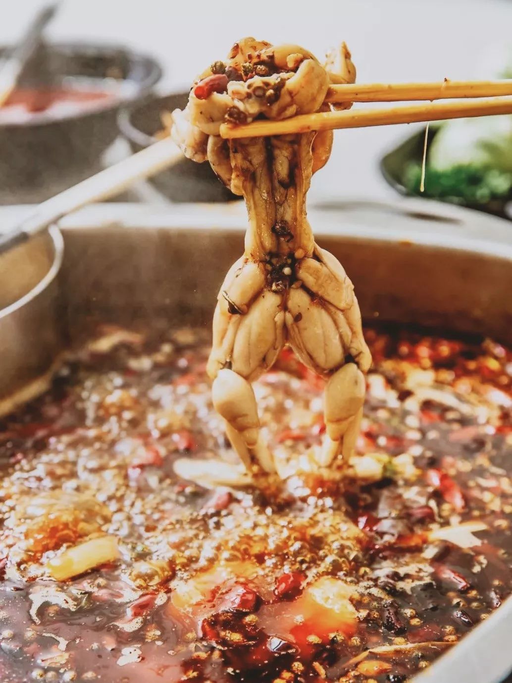 可食用蛙类,可食用蛙类有几种类型