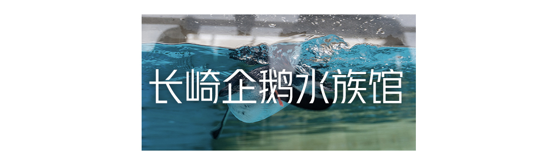 日本九州温泉城市,日本九州岛温泉