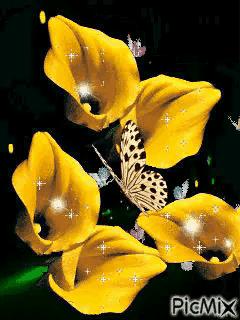 这是我见过最美丽的风景用英语,这是我见过最美的风景啥意思