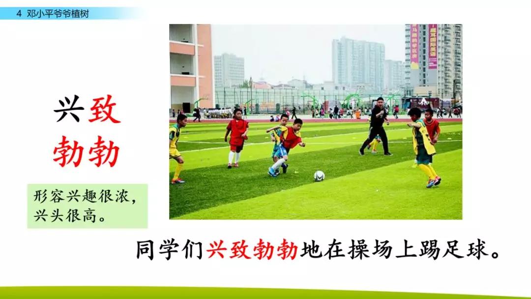 部编版二年级下册语文第4课《*小平邓**爷爷植树》知识点+图文讲解