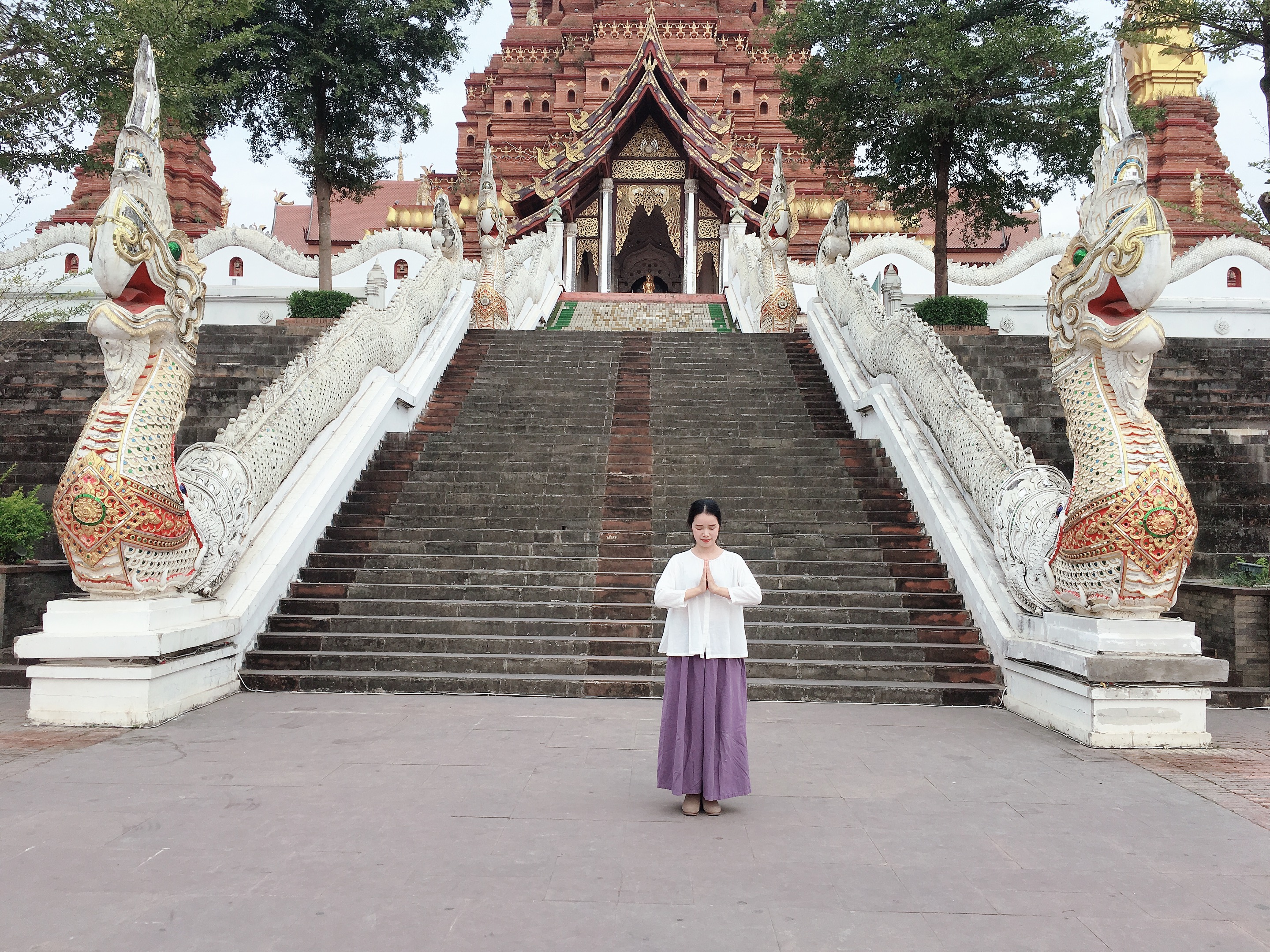 「馥人」李守蜜——福鼎白茶最美茶艺师