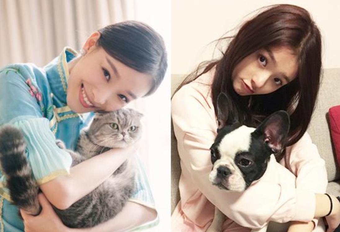 “我爱的Ta有你的影子”,看Ta们婚恋中前后任有多相像