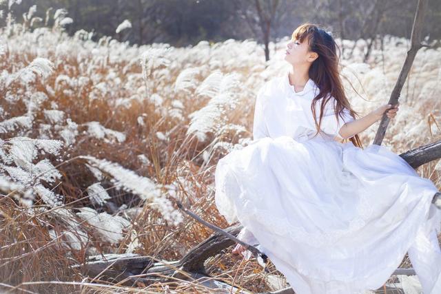 阳光下的田野美景,阳光下的自然风光