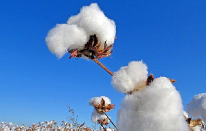 新疆一商场关闭hm门店,新疆商场回应关hm门店