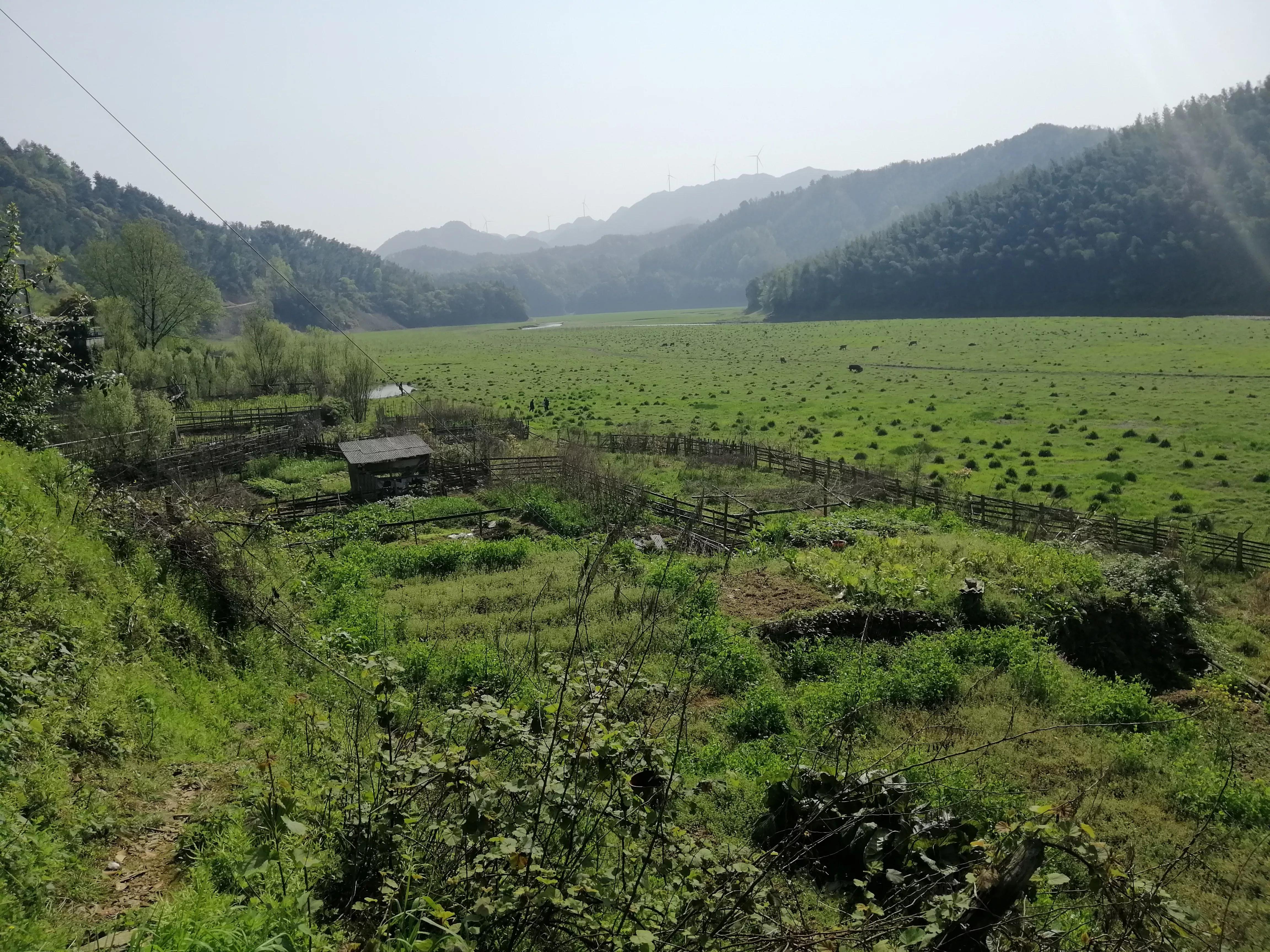 重走矿山路,重走故乡路感言