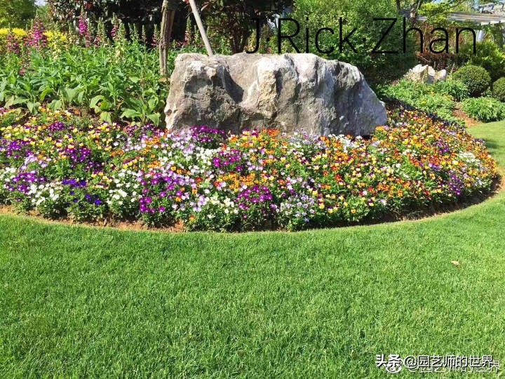 适合北方庭院种植的低矮草坪,家庭庭院怎样混搭种植草坪和蔬菜