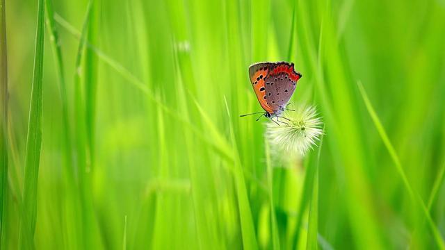 我的耳鸣好了,长期的耳鸣突然消失