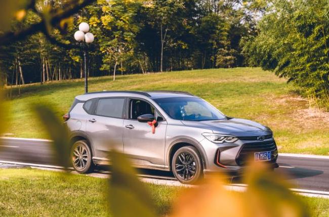 有沃鼎力相助，还愁19年立的flag不能完成吗？