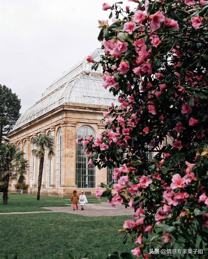 栗子姐情感专家咨询热线,栗子姐情感问答07