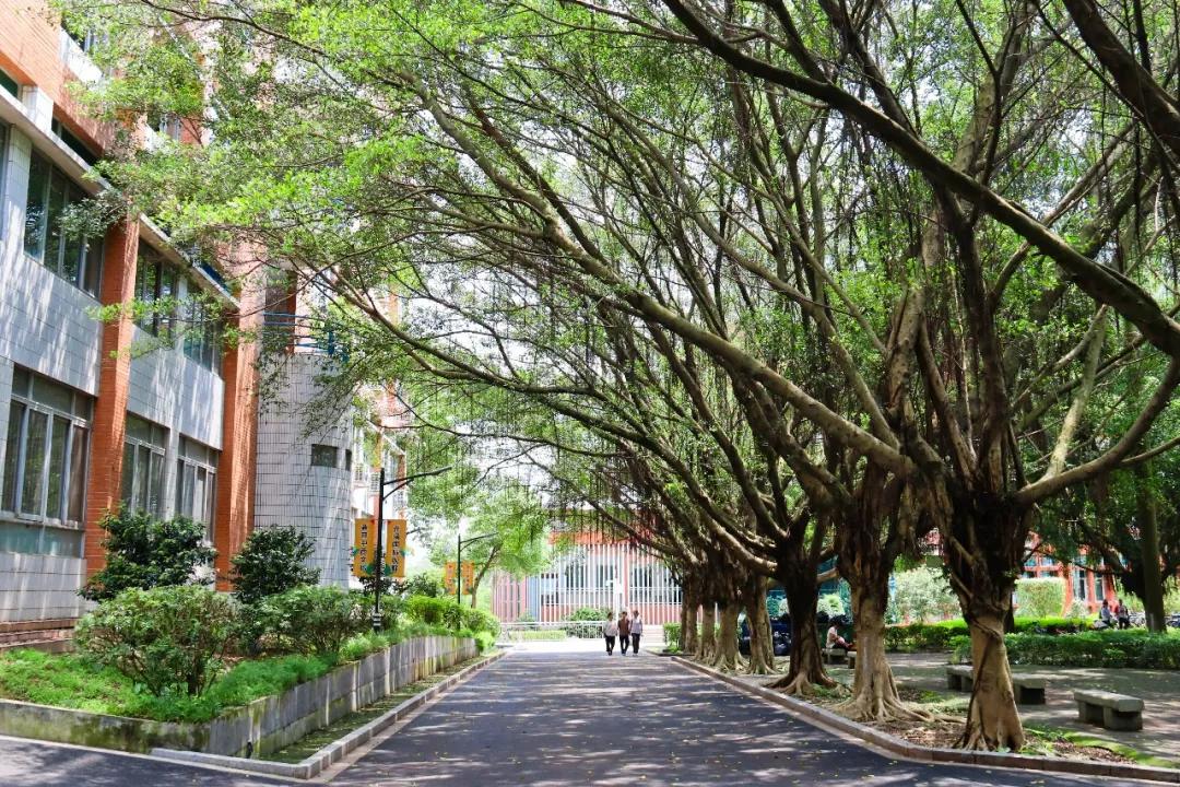 广东大学巡礼-广州康大职业技术学院