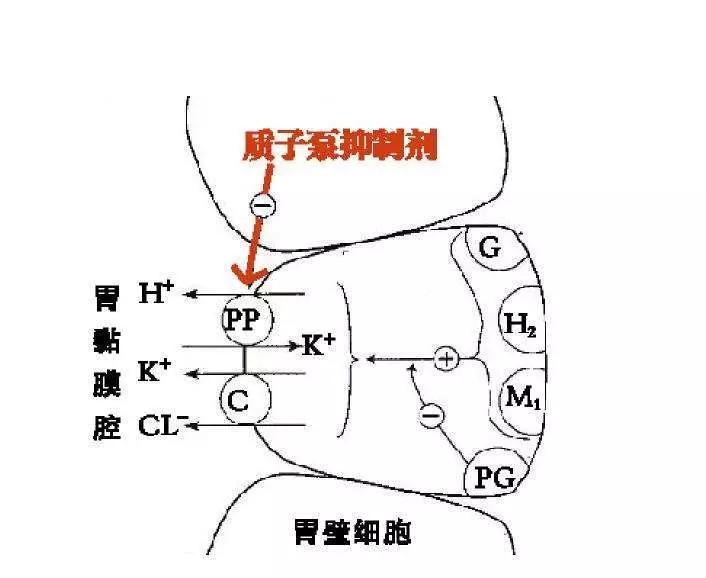 奥美拉唑能喝酒吗,长期吃奥美拉唑停药的正确方法