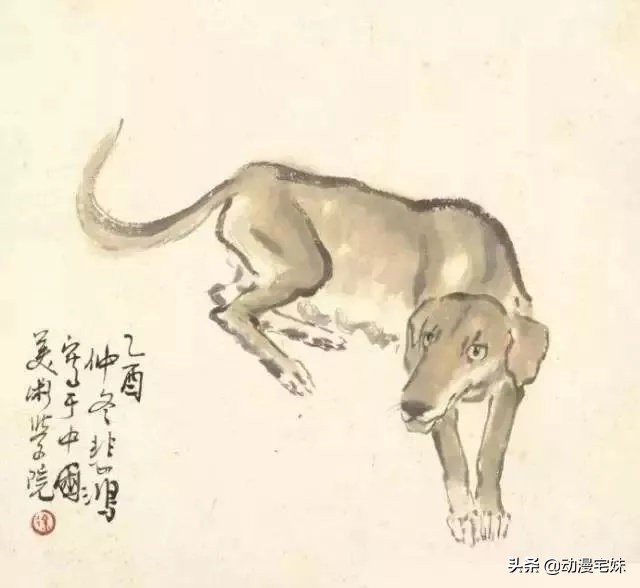 2024年属什么生肖什么命,2018年属什么生肖的是什么命