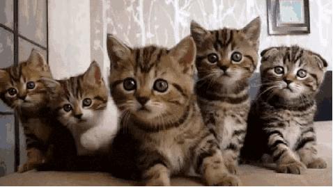 *草烟**微语丨昨夜今晨*草烟**事02.242021