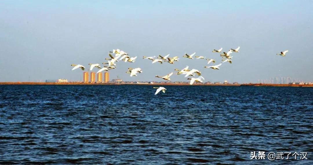 静海在天津的地位,天津静海的发展