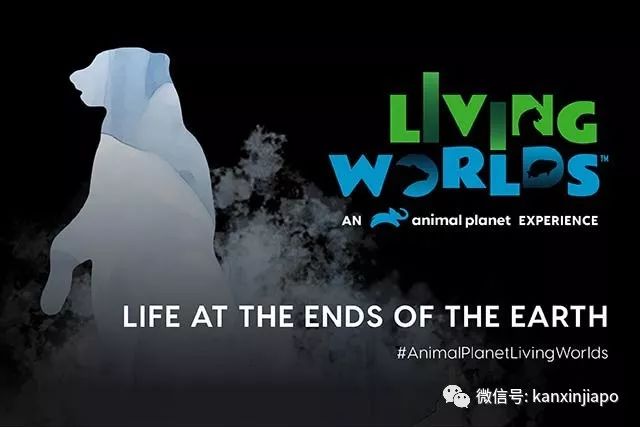 prada限量礼盒,prada包限量版