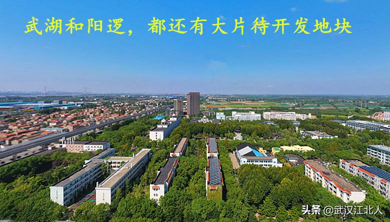 武汉阳逻区发展前景,黄陂和新洲谁更有发展前途